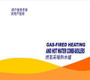 燃氣采暖熱水爐系統設計安裝維護技術指導（團體標準）